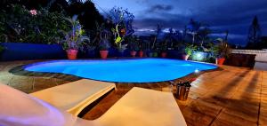 蒙舒瓦西的住宿－VILLA DES ILES 3，天井中央的大型蓝色游泳池
