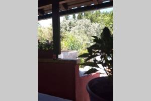 Vonkajšia záhrada v ubytovaní green hill studio corfu town