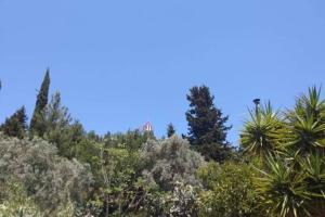 eine Gruppe von Bäumen mit blauem Himmel im Hintergrund in der Unterkunft green hill studio corfu town in Korfu-Stadt