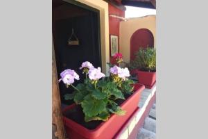 Vonkajšia záhrada v ubytovaní green hill studio corfu town