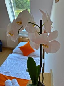 Postel nebo postele na pokoji v ubytování Hotel Magnólia