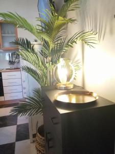 a table with a lamp and a plant in a room at Serendipity Mare in Marina dʼAndora