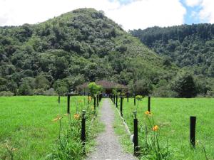 einen Weg durch ein Feld mit einem Haus im Hintergrund in der Unterkunft La Cabaña Ecohotel - Valle del Cocora in Salento