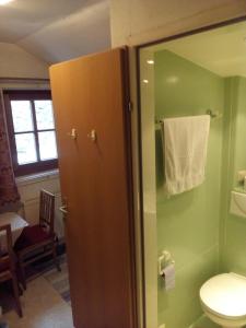 a bathroom with a toilet and a green wall at Pension Eckschlager in Lofer
