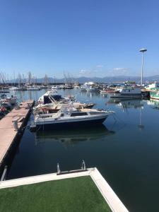 un grupo de barcos están atracados en un puerto en HouseBoat Cagliari, en Cagliari