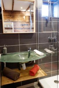 La salle de bains est pourvue d'un lavabo vert et d'une douche. dans l'établissement Echo des montagnes, à Chalmazel Jeansagniere