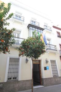 an orange tree in front of a white building at Hostal Roma in Seville