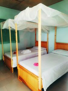 - deux lits superposés dans un dortoir avec une thritisthrite dans l'établissement Can Teranga, à Kafountine