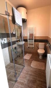 uma casa de banho com um chuveiro, um WC e um lavatório. em Penzion U Juráše em Třeboň