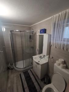 a bathroom with a shower and a toilet and a sink at Apartment Dino in Novi Vinodolski