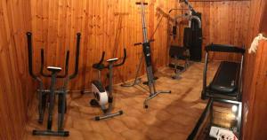 Fitness centrum a/nebo fitness zařízení v ubytování Sunshine-bnb
