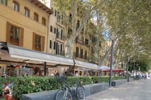 Il quartiere o una zona nella vicinanze dell'appartamento