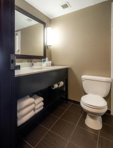 a bathroom with a toilet and a sink and a mirror at Holiday Inn Express Hotel & Suites - Edmonton International Airport, an IHG Hotel in Nisku