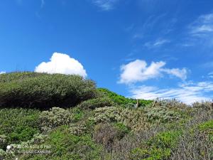 Gambar di galeri bagi ALBELDI' di Domus de Maria