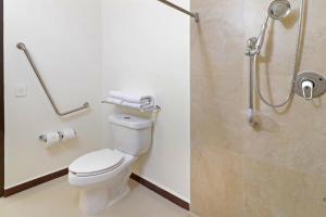 Ένα μπάνιο στο Holiday Inn Express - Tuxpan by IHG