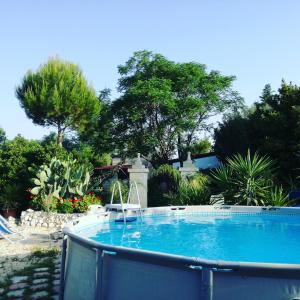 a swimming pool in a yard with trees and plants at MyLife B&B Country House in Castellaneta Marina