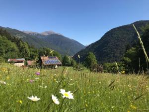 Paesaggio naturale nelle vicinanze del bed & breakfast