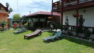 Gallery image of Casa Victoria in Nufăru