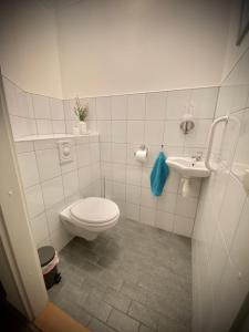 een badkamer met een toilet en een wastafel bij De Bonte Specht in Nijverdal