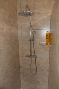 a shower with a shower head in a bathroom at Apartments and rooms Brunko in Bled