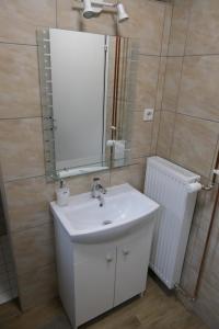 uma casa de banho com um lavatório, um espelho e um radiador em Apartments and rooms Brunko em Bled