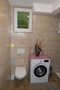 a bathroom with a washing machine and a toilet at Apartments and rooms Brunko in Bled