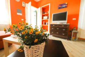 TV a/nebo společenská místnost v ubytování Rivacanze Apartments