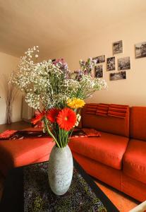 Posezení v ubytování Rivacanze Apartments