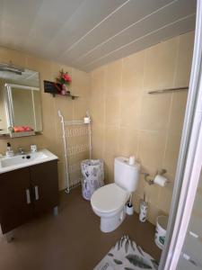 a bathroom with a toilet and a sink at Estudio en la playa de Calafell. Barcelona in Calafell