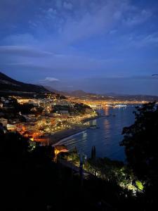 vista su un grande fiume di notte di B&B IN CENTRO STORICO SALERNO a Salerno