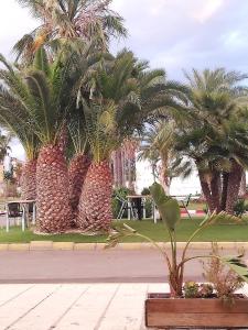 Ein Garten an der Unterkunft Apartamento Naturista en primera línea en Natura World!