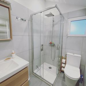a bathroom with a shower with a toilet and a sink at Cottage-Gite & Jacuzzi - Chez Flo & Marc in Chouzy-sur-Cisse