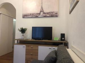 TV a/nebo společenská místnost v ubytování Apartment Lovrekovic