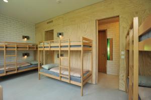 Двухъярусная кровать или двухъярусные кровати в номере Basel Youth Hostel