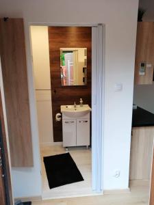 グダニスクにあるApartament Antonio 3 Gdańskの洗面台と鏡のあるバスルーム