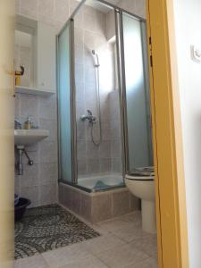 een badkamer met een douche, een toilet en een wastafel bij Apartmani Šutić in Promajna