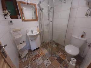 a bathroom with a shower and a toilet and a sink at GREEN HOUSE in Krasnopol +54 photos