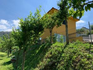 a house on the side of a hill with trees at Loft - Casinha à Porta in Arouca