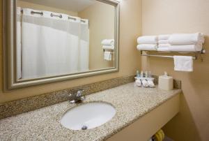 a bathroom with a sink and a mirror and towels at Holiday Inn Express Fargo - West Acres, an IHG Hotel in Fargo