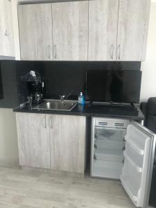 Kuchyň nebo kuchyňský kout v ubytování NORTH PARK SUITE