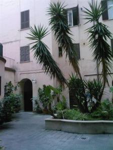 a building with two palm trees in front of it at Roma Prince Inn B&B in Rome