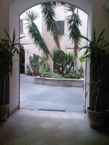 an open door to a courtyard with palm trees at Roma Prince Inn B&B in Rome