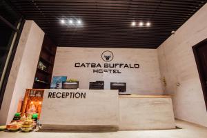 Certifikát, hodnocení, plakát nebo jiný dokument vystavený v ubytování Catba Buffalo Hostel