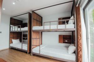 Двухъярусная кровать или двухъярусные кровати в номере Catba Buffalo Hostel