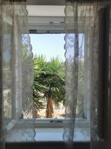 a window with a view of a potted plant at Ambelas Mare Apartments in Ambelas
