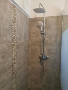 a shower with a shower head in a bathroom at Ambelas Mare Apartments in Ambelas