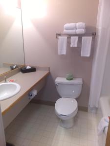 Koupelna v ubytování Econo Lodge