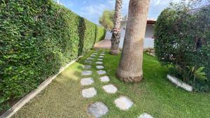 a garden with trees and stepping stones in the grass at Patras Palm Tree in Patra