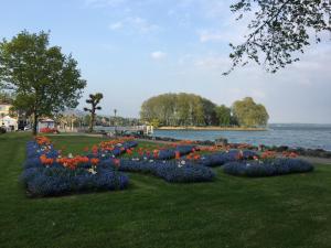 Queen Guest Room في Mont-sur-Rolle: حديقة الزهور في العشب بجانب الماء