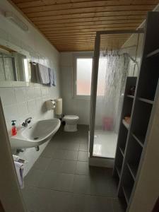 Kúpeľňa v ubytovaní Gasthaus Zum Stadtwald